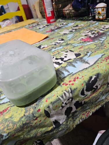 Silicone Ice Cube Maker – Easy-Release Freezer Tray for Fast Freezing photo review