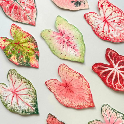 Combo Caladium Leaf Bookmark (Good deal)