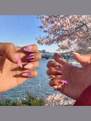 One Piece Nico Robin Press On Nails (Ver 5)